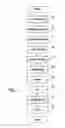 Fig. 02 - Method and apparatus for harvesting, washing, and drying cut vegetables and produce