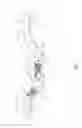 Fig. 06 - Method and apparatus for harvesting, washing, and drying cut vegetables and produce