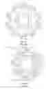 Fig. 06 - Cleaning-in-place system for flat belts