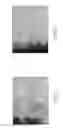 Fig. 07 - Dezincification-resistant copper alloy and method for producing product comprising the same