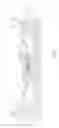 Fig. 06 - Method for lining a pipe conduit or a duct