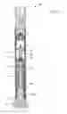 Fig. 02 - Methods and apparatus for drilling directional wells by percussion method