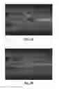 Fig. 04 - Multichannel preparative electrophoresis system