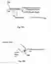 Fig. 17 - Implantable electrochemical biosensor system and method