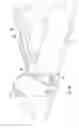Fig. 15 - Collapsible cadaver rack