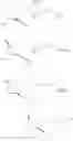 Fig. 41 - Therapeutic substituted cyclopentanes