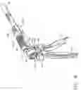 Fig. 09 - Surgical instrument having recording capabilities