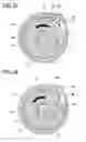 Fig. 33 - SEATBELT RETRACTOR