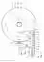 Fig. 02 - PEEL OFF DEVICE FOR UNWINDING A WEB OF MATERIAL FROM A ROLL
