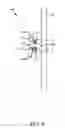 Fig. 09 - Apparatus and system for supporting a ski