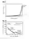 Fig. 06 - Multilayered tissue phantoms, fabrication methods, and use
