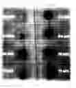 Fig. 07 - Bent-core LC decorated gold nanoclusters