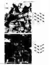 Fig. 09 - Bent-core LC decorated gold nanoclusters