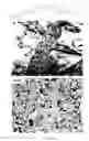 Fig. 13 - Bent-core LC decorated gold nanoclusters