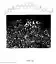 Fig. 16 - Bent-core LC decorated gold nanoclusters
