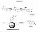 Fig. 10 - DERIVATIVES OF NANOMATERIALS AND RELATED DEVICES AND METHODS