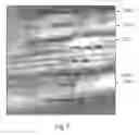 Fig. 06 - Anisotropic strain control in semipolar nitride quantum wells by partially or fully relaxed aluminum indium gallium nitride layers with misfit dislocations