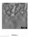 Fig. 02 - Methods and Compositions for Preparing Ge/Si Semiconductor Substrates