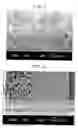 Fig. 02 - Test paper and porous membrane