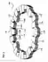Fig. 06 - Stator core for dynamo-electric machine and manufacturing method therefor