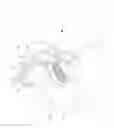Fig. 01 - Laundry treating apparatus