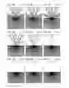 Fig. 06 - Lighting device
