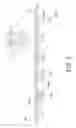 Fig. 04 - Front light plate and reflective display apparatus using the same