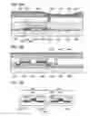 Fig. 20 - Semiconductor device and electronic appliance