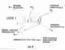 Fig. 04 - Intrusion detection and tracking system and related techniques