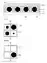 Fig. 02 - Electronic paper display device