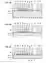 Fig. 06 - Liquid ejecting head, liquid ejecting apparatus, and piezoelectric element