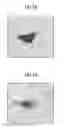 Fig. 02 - METHOD FOR IDENTIFYING ANOMALIES IN OBJECT STREAMS USING THE PHENOMENON OF GROUP SPEED