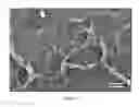 Fig. 07 - LIQUID CRYSTAL COMPOSITE, CELL, DEVICE, AND METHOD THEREOF