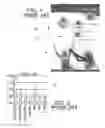 Fig. 02 - System and apparatus for object based attention tracking in a virtual environment