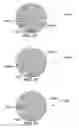 Fig. 30 - Method and system for quantitative assessment of visual contrast sensitivity