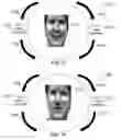 Fig. 34 - Method and system for quantitative assessment of visual contrast sensitivity