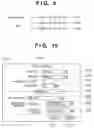 Fig. 09 - CONTROL METHOD, INFORMATION PROCESSING APPARATUS, AND COMPUTER-READABLE MEDIUM