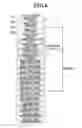 Fig. 07 - IMAGE PROCESSING APPARATUS