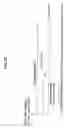 Fig. 48 - Transmission apparatus, reception apparatus, mobile communications system and transmission control method