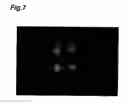 Fig. 08 - Laser light source