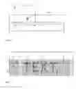 Fig. 02 - Method for run-length encoding of a bitmap data stream