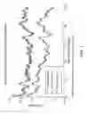Fig. 08 - DEVICE AND METHOD FOR PERFORMING HALF PIXEL ACCURACY FAST SEARCH IN VIDEO CODING