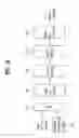 Fig. 19 - DTV receiving system and method of processing DTV signal