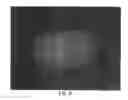 Fig. 06 - Imaging system with dynamic range maximization