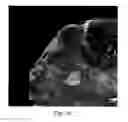 Fig. 19 - Imaging system with dynamic range maximization