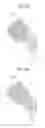 Fig. 08 - IMAGE PROCESSING APPARATUS AND IMAGE PROCESSING METHOD