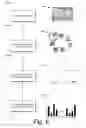 Fig. 07 - Textual attribute-based image categorization and search