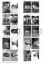 Fig. 35 - Recognition via high-dimensional data classification