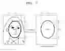Fig. 08 - Method and apparatus for face determination