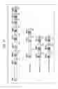 Fig. 32 - Image signal decoding apparatus, image signal decoding method, image signal encoding apparatus, image signal encoding method, and program
